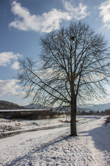 Zima pri Lutilskom Potoku (8)