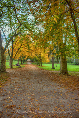 Jesennou cestou cez park