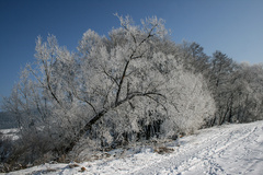 Zima pri Lutilskom Potoku (2)
