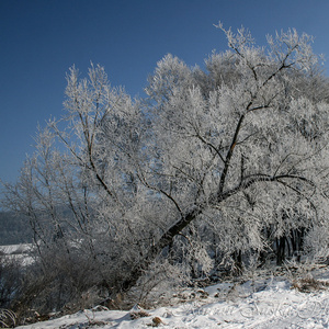 Zima pri Lutilskom Potoku (2)