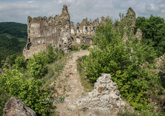 Šašovský Hrad - 2009