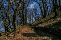 Cestou na Kalváriu ...