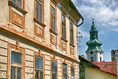 _ bolo_