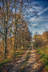 Cestou na Šibeničný Vrch