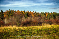 Šibeničný Vrch na jeseň