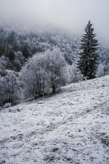 Zimné Kremnické Vrchy