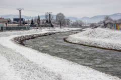 Cestou k stromom (3)