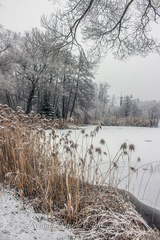 Zasnežené krásy prírody (4)
