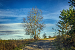 Cestou na Šibeničný Vrch