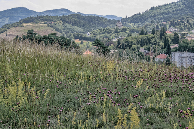 ... príroda a mesto