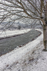 Cestou k stromom (4)