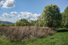 Jarná prechádzka