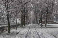 Zasnežený park