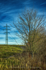 Strom a stĺp - Šibeničný Vrch