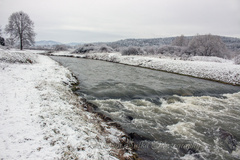 Cestou k stromom (2)