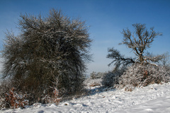 Zima na Šibeničnom Vrchu (2)