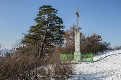 Za stromami a kopcami ... (3)