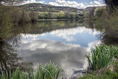 Jar na Mŕtvom Ramene rieky Hron