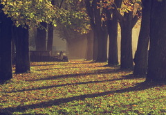 Park
