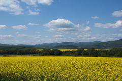 Buková 2