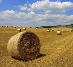Spišské polia