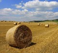 Spišské polia