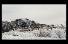 cesta na Høgnakken 2