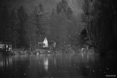 Bratři v křídle