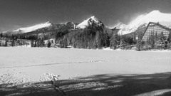 Pleso