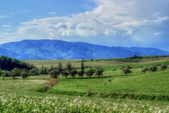 Turčianska kotlina