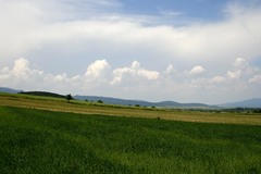 len tak za domom