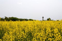 náhodou