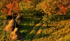 rozhľad