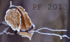 PF 2013