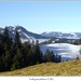 Puchbergerské pohladenie