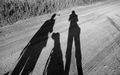 My dvaja a pes