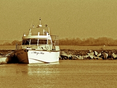 Mery Kate - Kaskády