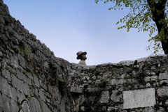 Nemý pozorovateľ
