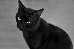 Félix