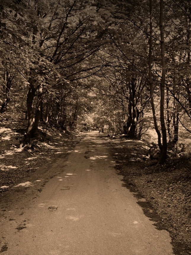 Nik nevie kam to ide