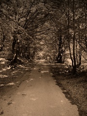 Nik nevie kam to ide