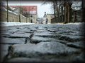 Mačacie hlavy