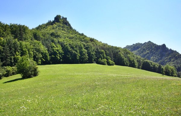 Hričovský hrad