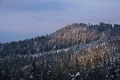 Zasnežené