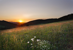 Sunset I.