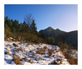 Cold Nature +