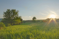 Last sunray II.