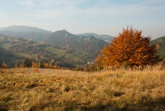 Jesenné ráno