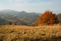 Jesenné ráno