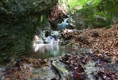 Waterflow III.